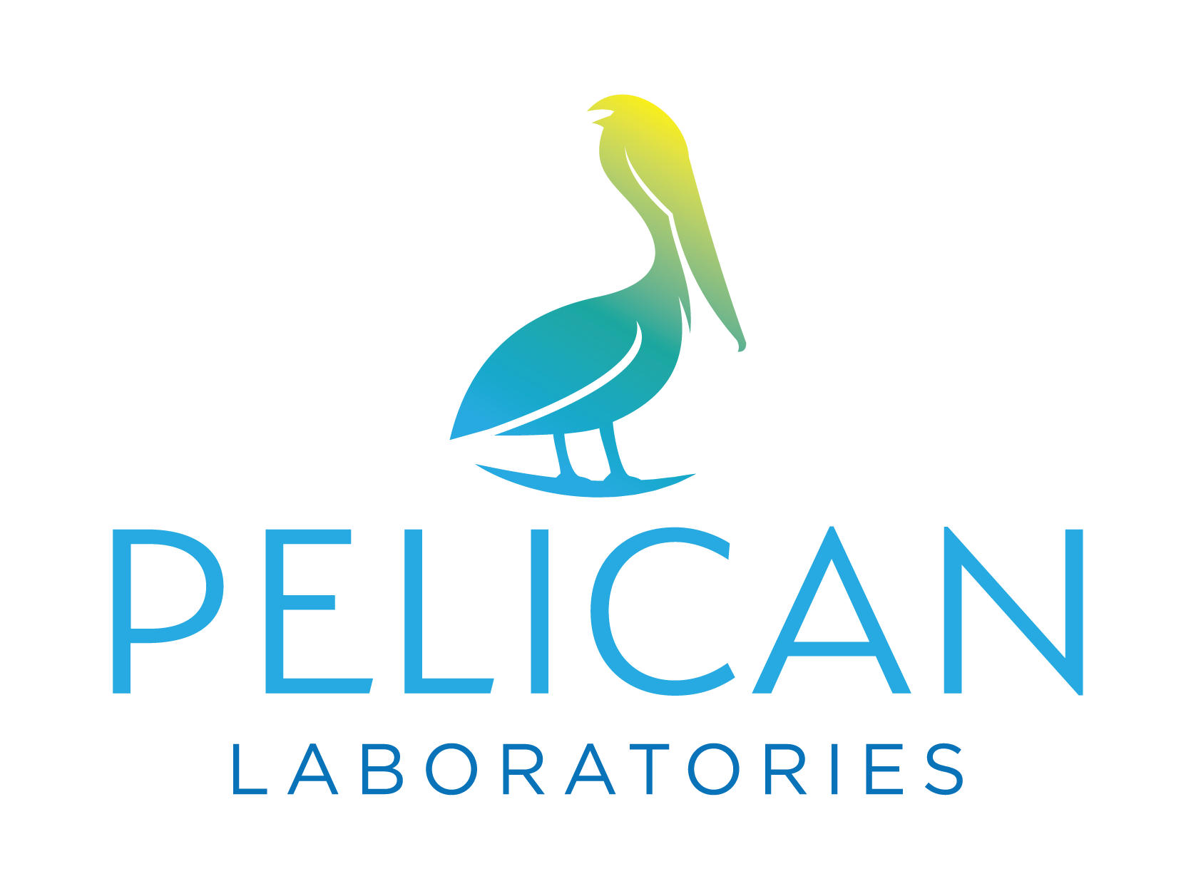 Pelican Medical Group full logo 1663x1250
